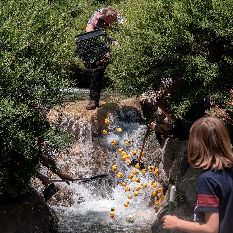 TheVillage-July4th-Ducky-Release